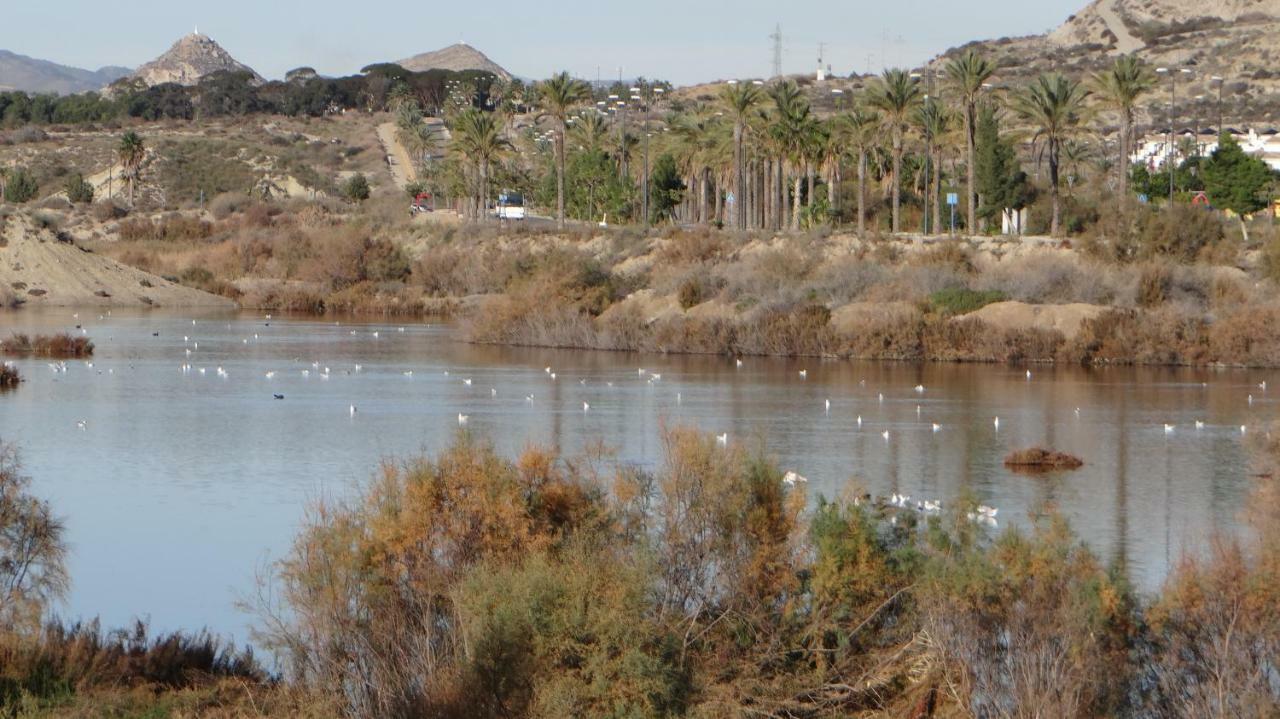Vera Rental Torremar Natura Kültér fotó